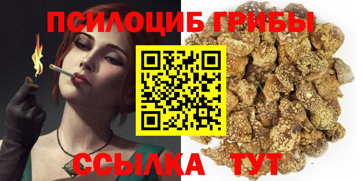 Галлюциногенные грибы мухоморы Ростов Великий